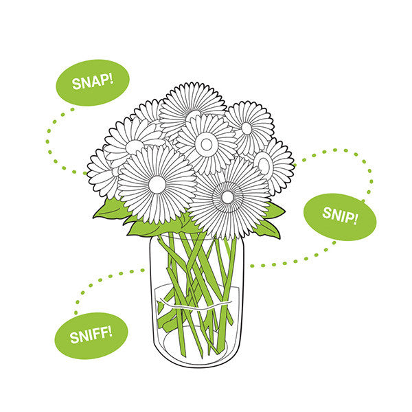 Jarware Flower Frog - Mason Jar Accessory - Illustration