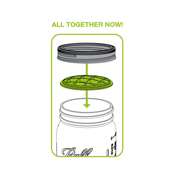 Jarware Flower Frog - Mason Jar Accessory - Illustration 2