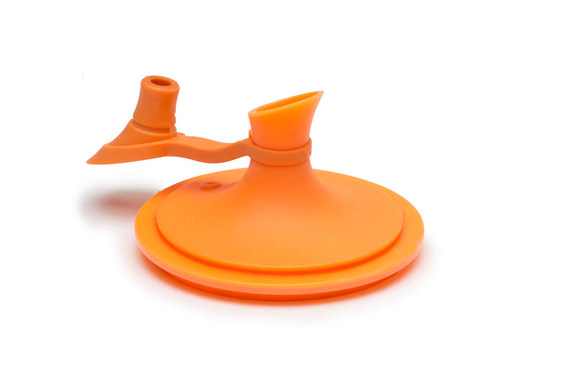 Oil Cruet, Regular Mouth Mason Jars