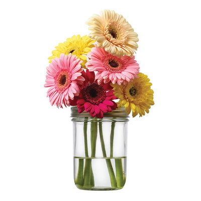Jarware Flower Frog - Mason Jar Accessory 